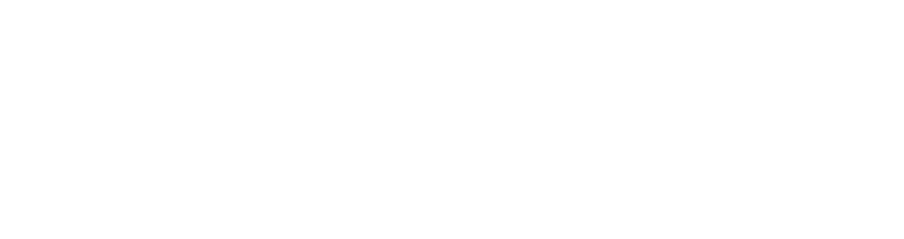 TeamShield Group